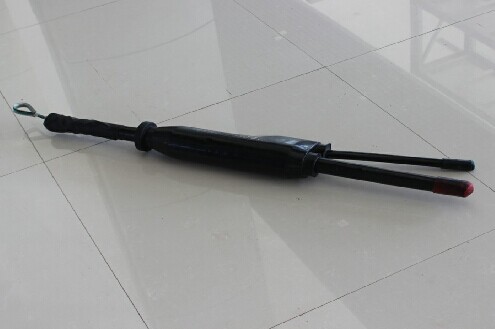 綠燈行預分支電纜